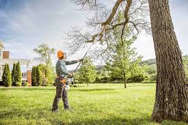 Best Commercial Tree Services  in Lahaina, HI